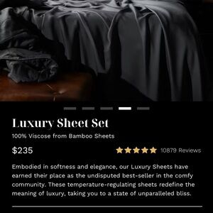 Elegant Black Bamboo Sheet Set